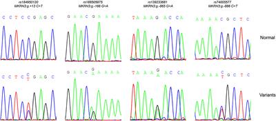 Central Precocious Puberty Caused by Novel Mutations in the Promoter and 5′-UTR Region of the Imprinted MKRN3 Gene